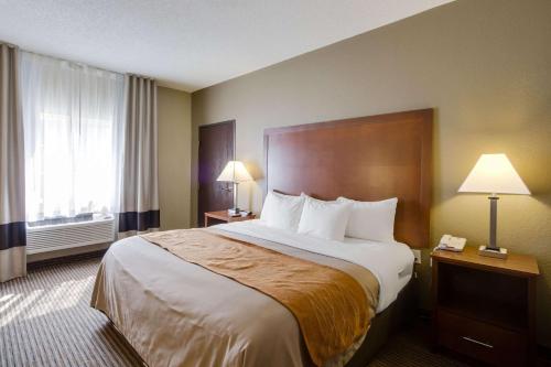 Кровать или кровати в номере Comfort Inn & Suites Bellevue - Omaha Offutt AFB