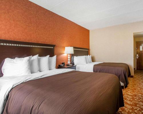 2 letti in una camera d'albergo con pareti arancioni di Quality Inn Vineland a Vineland