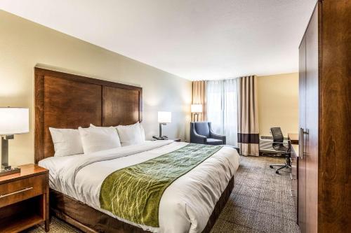 Giường trong phòng chung tại Comfort Inn & Suites Albuquerque Downtown
