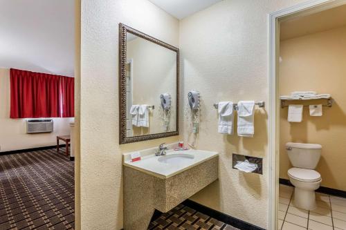 a bathroom with a sink and a toilet and a mirror at Econo Lodge Santa Rosa in Santa Rosa