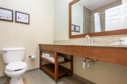 a bathroom with a toilet and a sink with a mirror at Comfort Suites Rochester Henrietta University Area in Henrietta