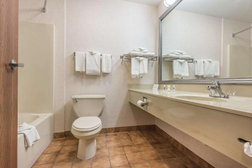 FairBridge Inn & Suites Batavia-Darien Amusement Park tesisinde bir banyo