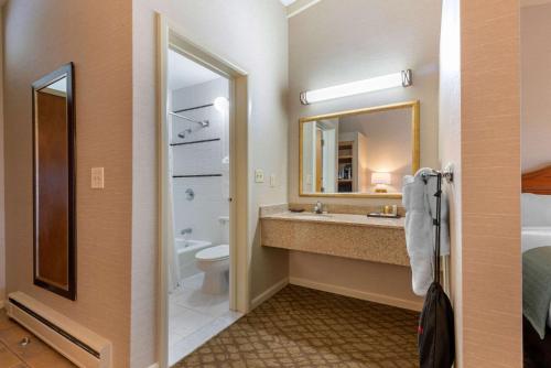 a bathroom with a sink and a toilet and a mirror at The Inn at Gran View Ogdensburg, Ascend Hotel Collection in Ogdensburg