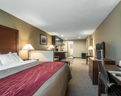 Foto de la galería de Comfort Inn en Saugerties