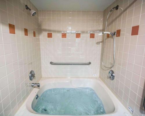 Ένα μπάνιο στο Comfort Inn - NYS Fairgrounds