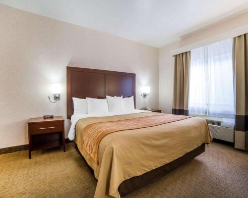 a hotel room with a large bed and a window at Comfort Inn Elko in Elko