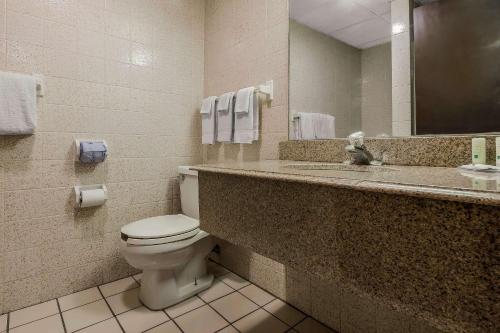 La salle de bains est pourvue de toilettes et d'un lavabo avec miroir. dans l'établissement Quality Inn & Suites Binghamton Vestal, à Binghamton