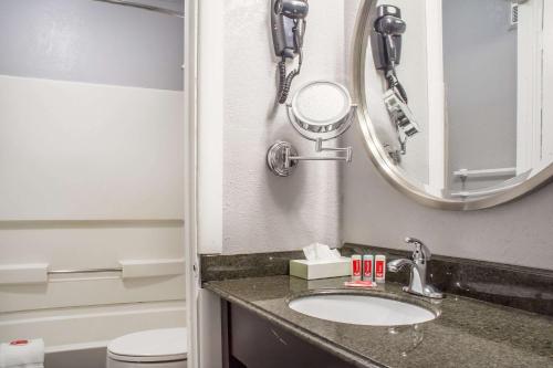 uma casa de banho com um lavatório, um espelho e um WC. em Econo Lodge em Brockport