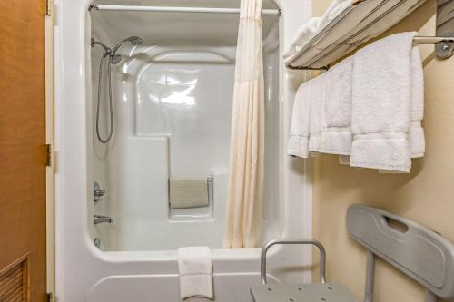 a bathroom with a shower and a toilet and a sink at Quality Inn Schenectady - Albany in Schenectady