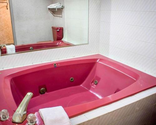 a pink bath tub in a bathroom with a mirror at Econo Lodge Inn & Suites Colonie Center Mall in Albany