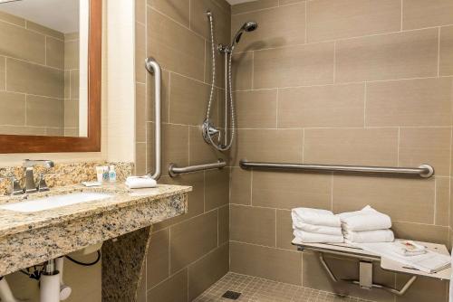 Salle de bains dans l'établissement Comfort Inn & Suites Piqua-Near Troy-I75