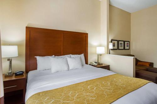 a hotel room with a large bed and a couch at Comfort Suites in Twinsburg