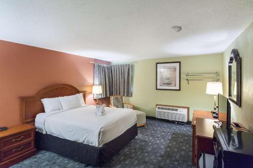 a hotel room with a bed and a television at Rodeway Inn in Wauseon