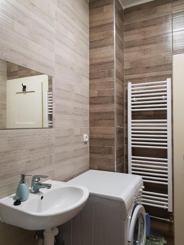 a bathroom with a sink and a mirror at Drevenica Spanka in Špania Dolina