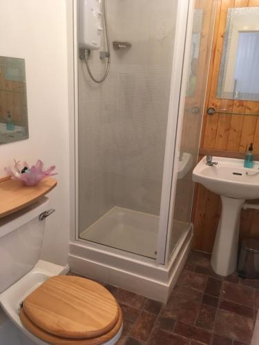 a bathroom with a shower and a toilet and a sink at The Folly Hotel in North Berwick