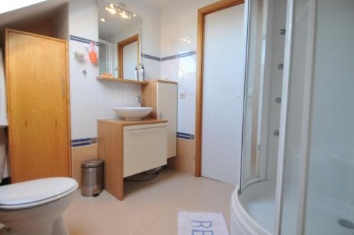 ein Bad mit einem WC, einem Waschbecken und einer Dusche in der Unterkunft Airco Studio Autonome in Gembloux