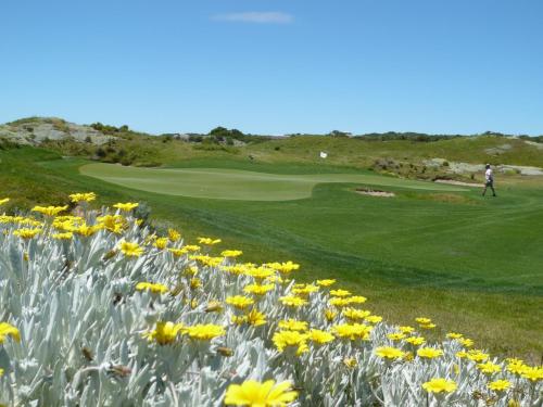 a man on a golf course with a field of flowers at St Francis Golf Lodge in St Francis Bay