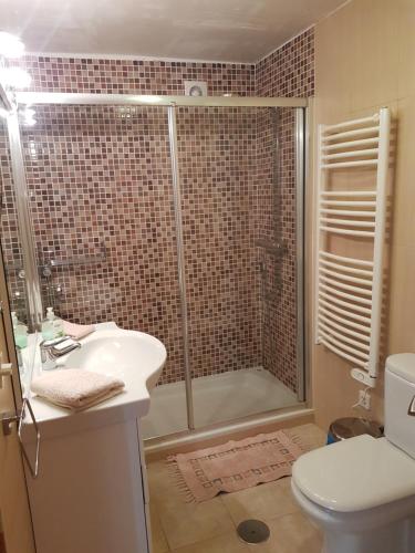 シエラネバダにあるPenibetico ERB Alojamientosのバスルーム(シャワー、トイレ、シンク付)