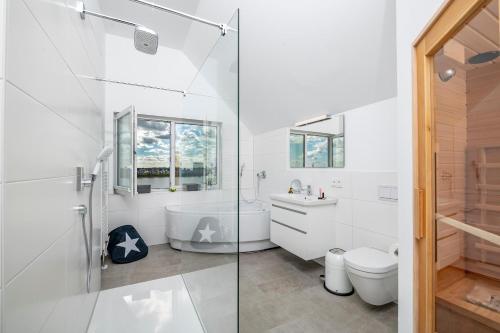 a white bathroom with a shower and a toilet at BlueLounge in Olpenitz