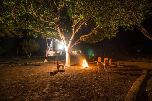 a campfire with chairs and a tree at night at WOW STAYZ2 Pachmarhi Foothill Cottages in Pachmarhī