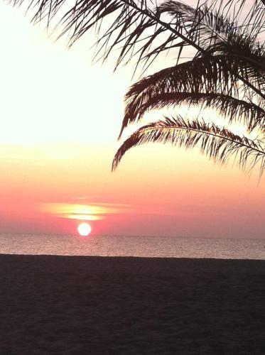 a sunset on the beach with a palm tree at Hotel La Casa in Le Barcarès