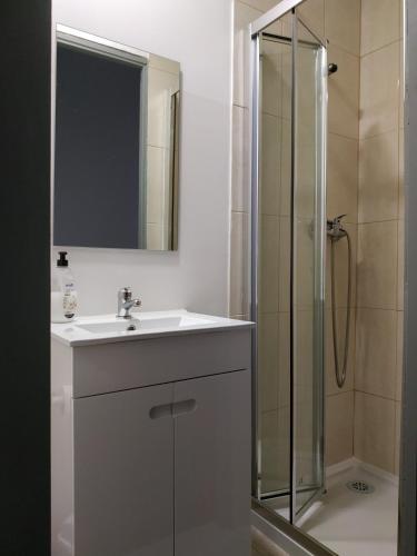 a bathroom with a sink and a shower at Gabriel Guesthouse in Porto