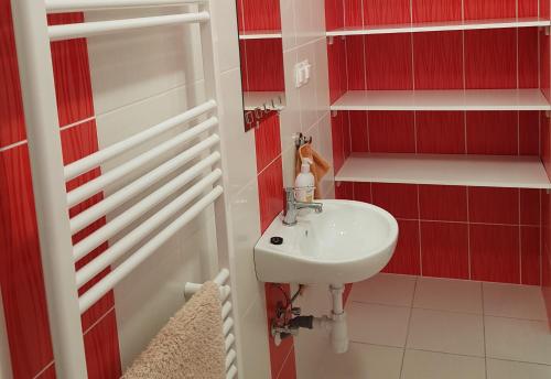 baño con lavabo y estanterías rojas y blancas en Klágya Vendégház, en Dávod