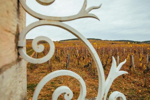 a gate with a vineyard in the background at Chateau de la Grange in Saint-Émiland