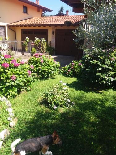 B&b Silvana – Photos 3