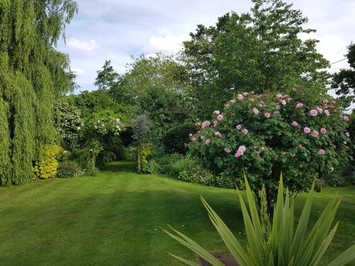 a garden with a green lawn with pink roses at Wellrose Barn in Hertford