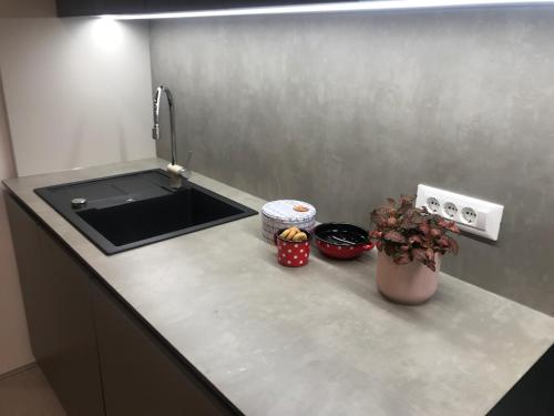 Η κουζίνα ή μικρή κουζίνα στο Street flat Mini