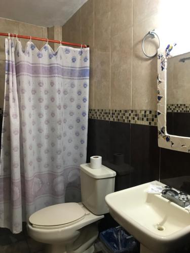 a bathroom with a toilet and a sink at Hotel Banus in Veracruz