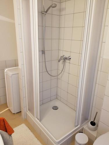e bagno con doccia e servizi igienici. di Ferienwohnung in der Altstadt a Stralsund