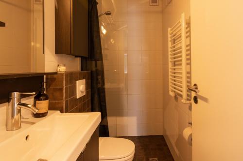 ein Bad mit einem Waschbecken, einem WC und einer Dusche in der Unterkunft Old Town Modern Apartment in Akureyri