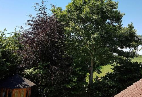 Taman di luar Giese FeWo Küstenglück