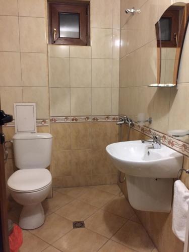 La salle de bains est pourvue de toilettes et d'un lavabo. dans l'établissement Guest Rooms Vachin, à Bansko