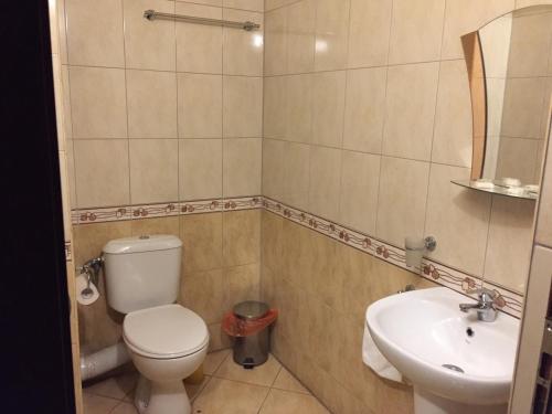 a bathroom with a toilet and a sink at Guest Rooms Vachin in Bansko