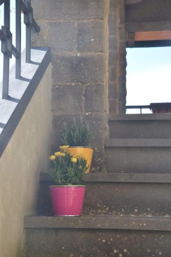Bed and Breakfast Country Hill – Photos 3