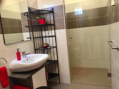 La salle de bains est pourvue d'un lavabo et d'une douche. dans l'établissement City Apartman, à Pécs