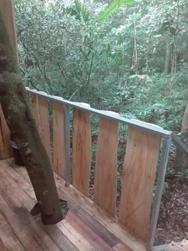 a wooden deck with a tree in the woods at The Green Tree Lodge in Monteverde Costa Rica