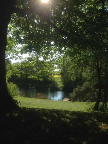 a view of a river through a forest of trees at Gästehaus Landgut Lischow in Neuburg-Steinhausen
