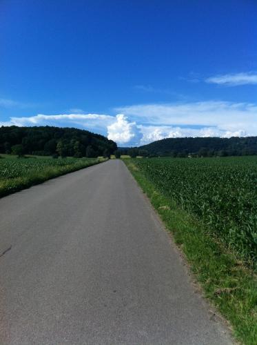 a road in the middle of a field of crops at Hotel Landgasthof Hirschen in Ramsen