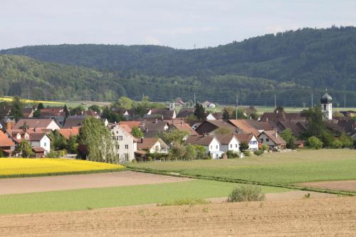 a village with houses and a field of crops at Hotel Landgasthof Hirschen in Ramsen