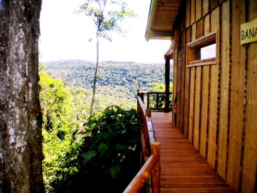 Un balcón o terraza de Tacuapí Lodge