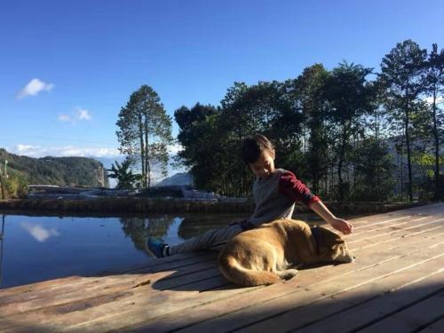 a young boy sitting on a dock with a dog at Beyond the Terrace Residence in Yuanyang