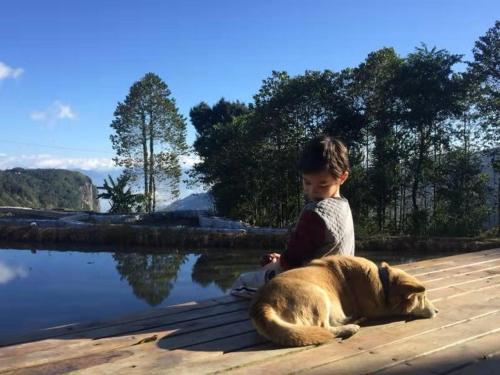 a young boy sitting next to a dog on a dock at Beyond the Terrace Residence in Yuanyang