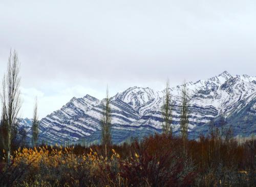 Gallery image of amir homestay in Leh