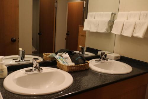 a bathroom counter with two sinks and a mirror at NASPA New Otani in Yuzawa
