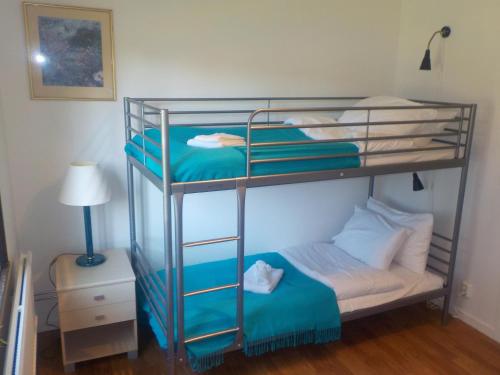 RådaにあるHagfors Hostelのランプ付きのドミトリールームの二段ベッド2台