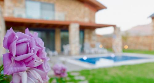 a pink rose in front of a house with a pool at Estrella Villas in Lardos